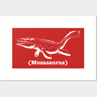 Mosasaurus Posters and Art